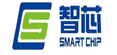 Smart Chip